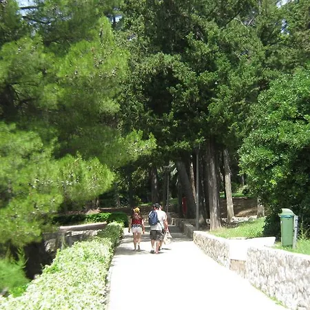 Guest house Perun